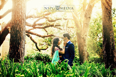 NSPG MEDIA Top Indian Pakistani Wedding Photo & Film | Orlando  Tampa  South Florida